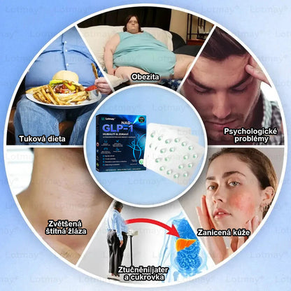 [⚡Oficiální autorizovaný obchod] 𝐿𝑜𝑡𝑚𝑎𝑦® 🔥🔥 𝐺𝐿𝑃-1 𝐻𝑢𝑏𝑛𝑢𝑡í & 𝑧𝑑𝑟𝑎𝑣í 𝑈𝑙𝑡𝑟𝑎𝑘𝑜𝑛𝑐𝑒𝑛𝑡𝑟𝑜𝑣𝑎𝑛é 𝑒𝑠𝑒𝑛𝑐𝑒 𝑣 𝑘𝑎𝑝𝑠𝑙í𝑐ℎ- NAD+ Moringa a jablečný ocet (✅rychlý, dlouhotrvající, řešící cukrovku, obezitu a kardiovaskulární onemocnění)