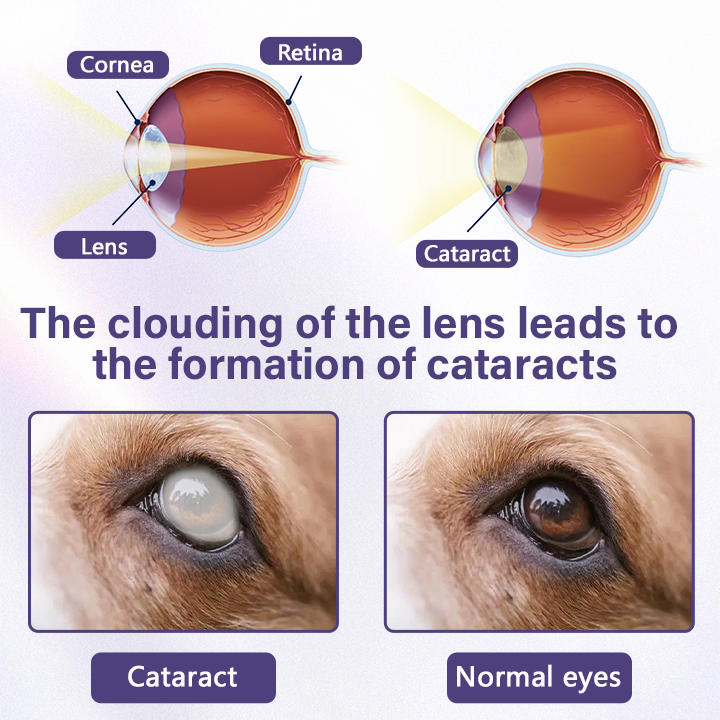 Timilk® NanoCare Oční kapky pro domácí mazlíčky 👩‍⚕️ Schváleno FDA | Ulevuje od zánětu spojivek, suchých očí, šedého zákalu a zánětu rohovky 🐶🐱