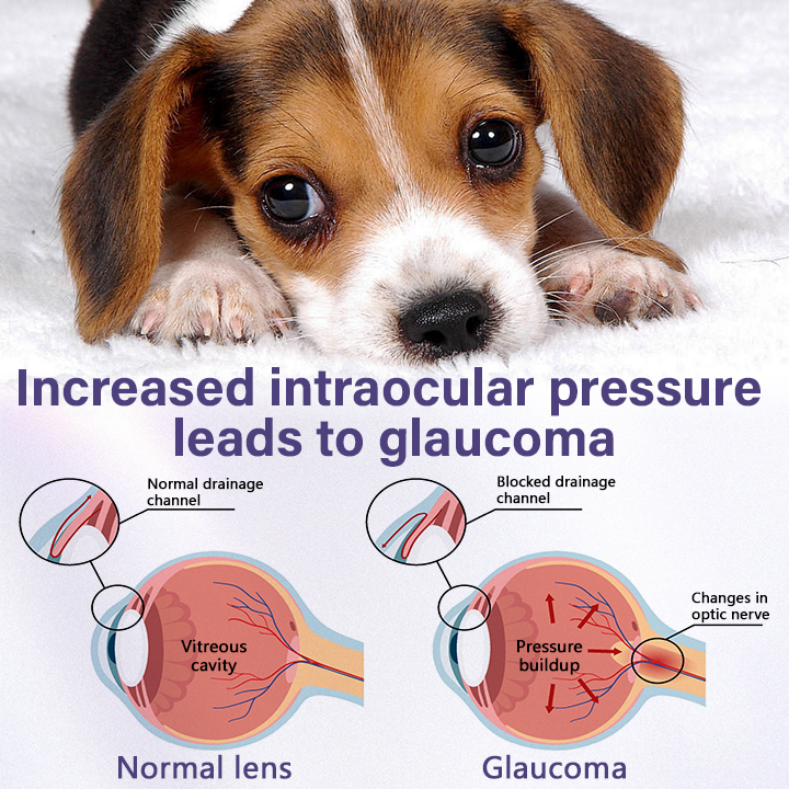 Timilk® NanoCare Oční kapky pro domácí mazlíčky 👩‍⚕️ Schváleno FDA | Ulevuje od zánětu spojivek, suchých očí, šedého zákalu a zánětu rohovky 🐶🐱